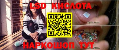 гашик Донской