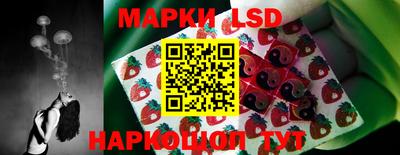 гашик Донской