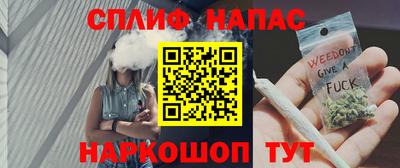 винт Дубна