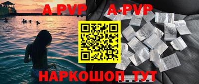 гашик Донской