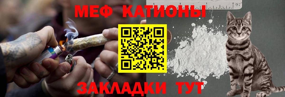 МЕФ  Можга